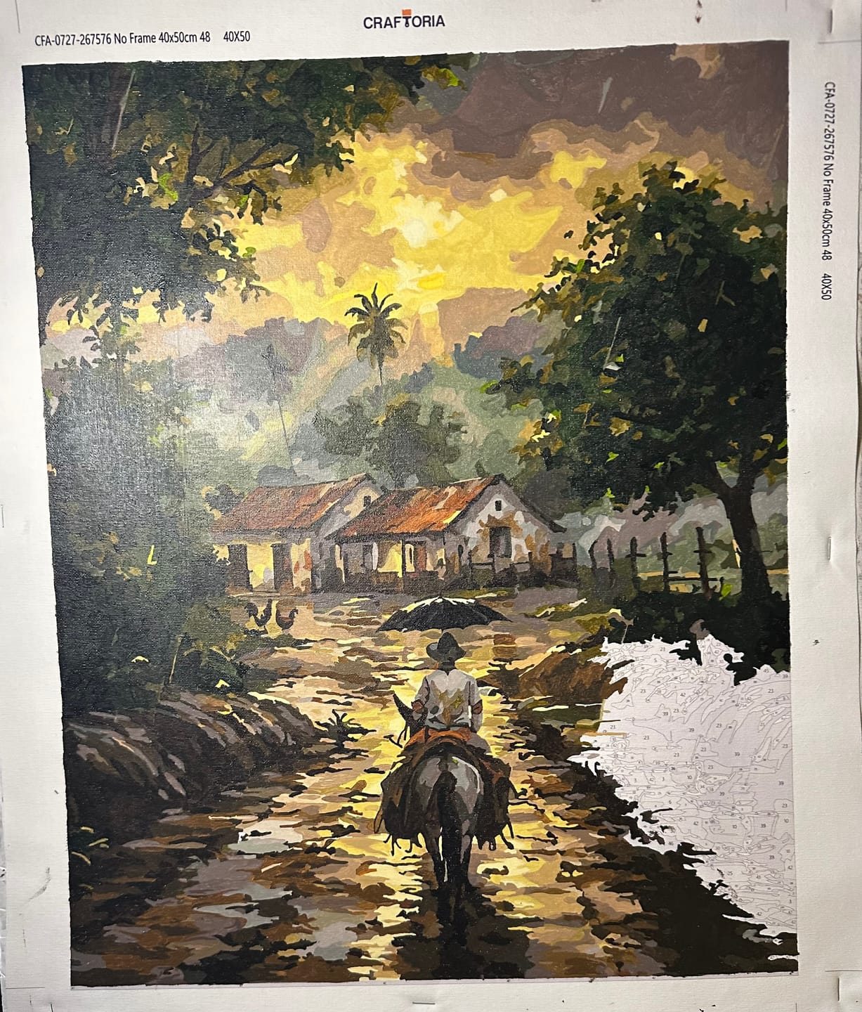Customer photo review of Custom Paint By Numbers Kit