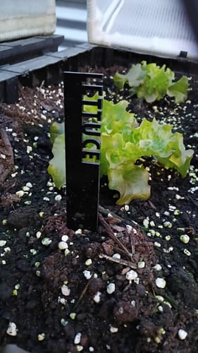 Customer photo review of Vegetable Plant Stakes
