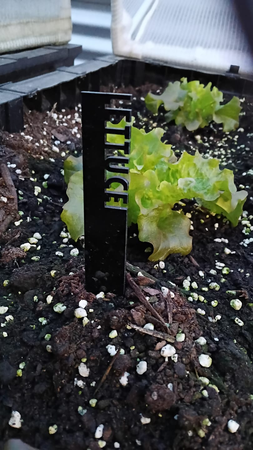 Customer photo review of Vegetable Plant Stakes