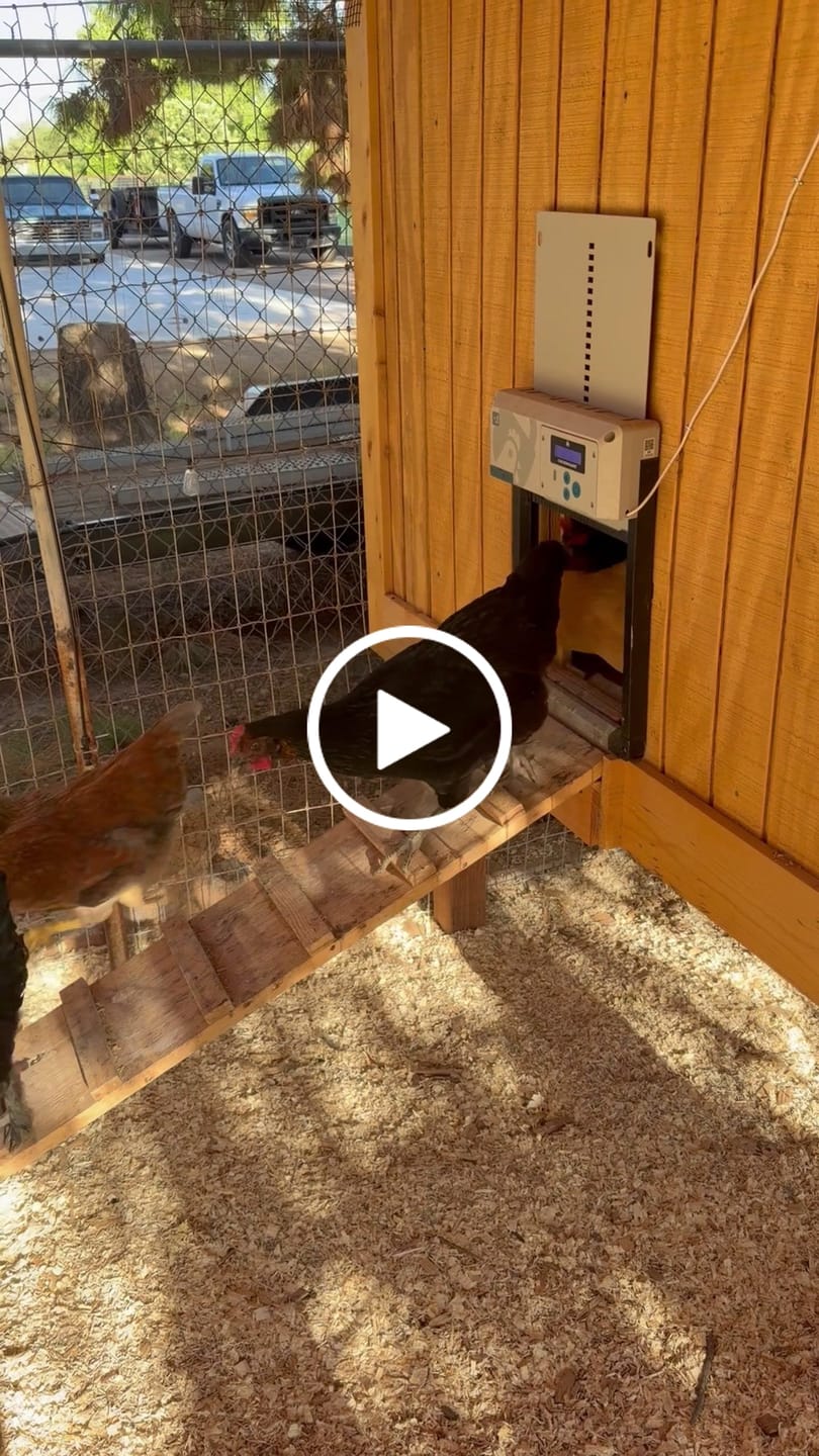 Customer video review of CoopWorx Feed Silo (80 lb. Capacity)