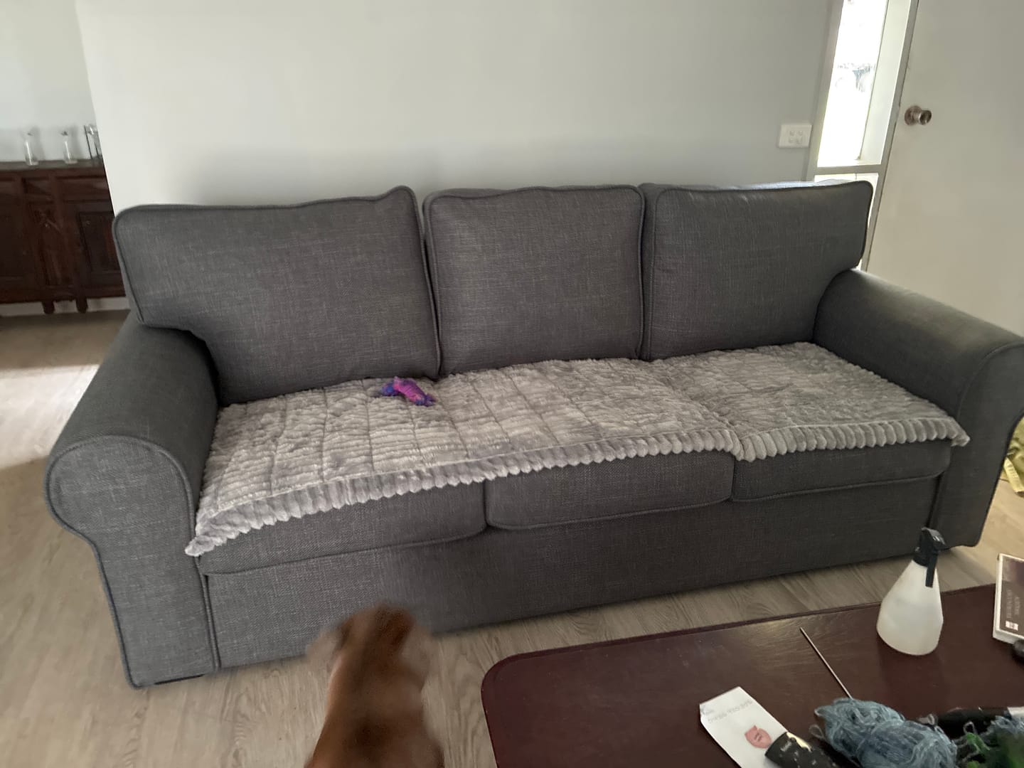 Customer photo review of CouchCloud - Couch Covers