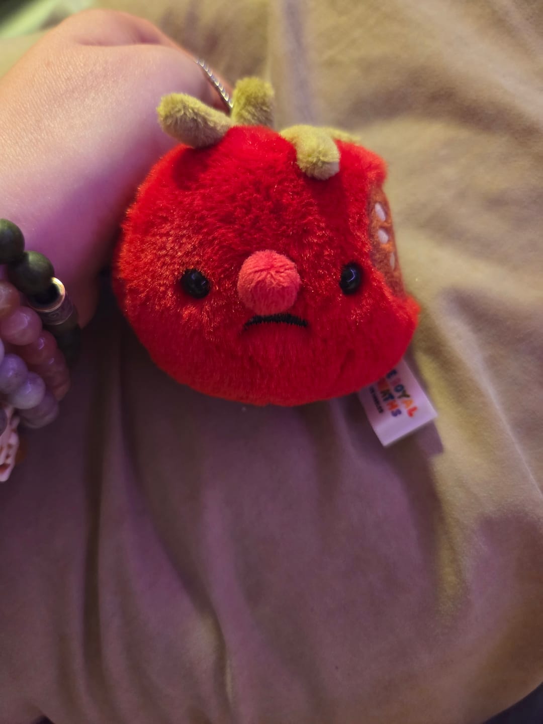 Customer photo review of Forgotten Bitten Tomato