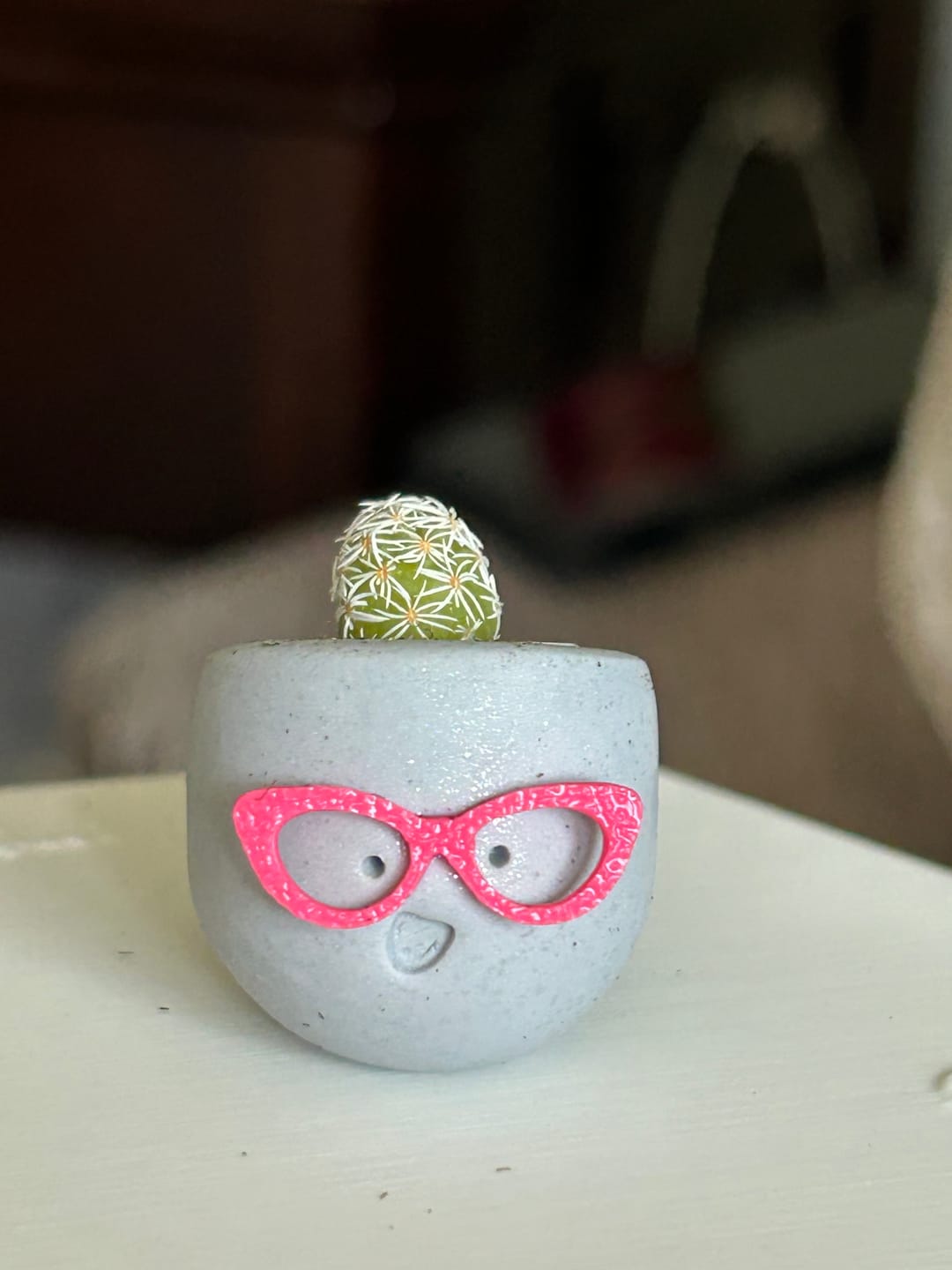Customer photo review of Sassy Silver