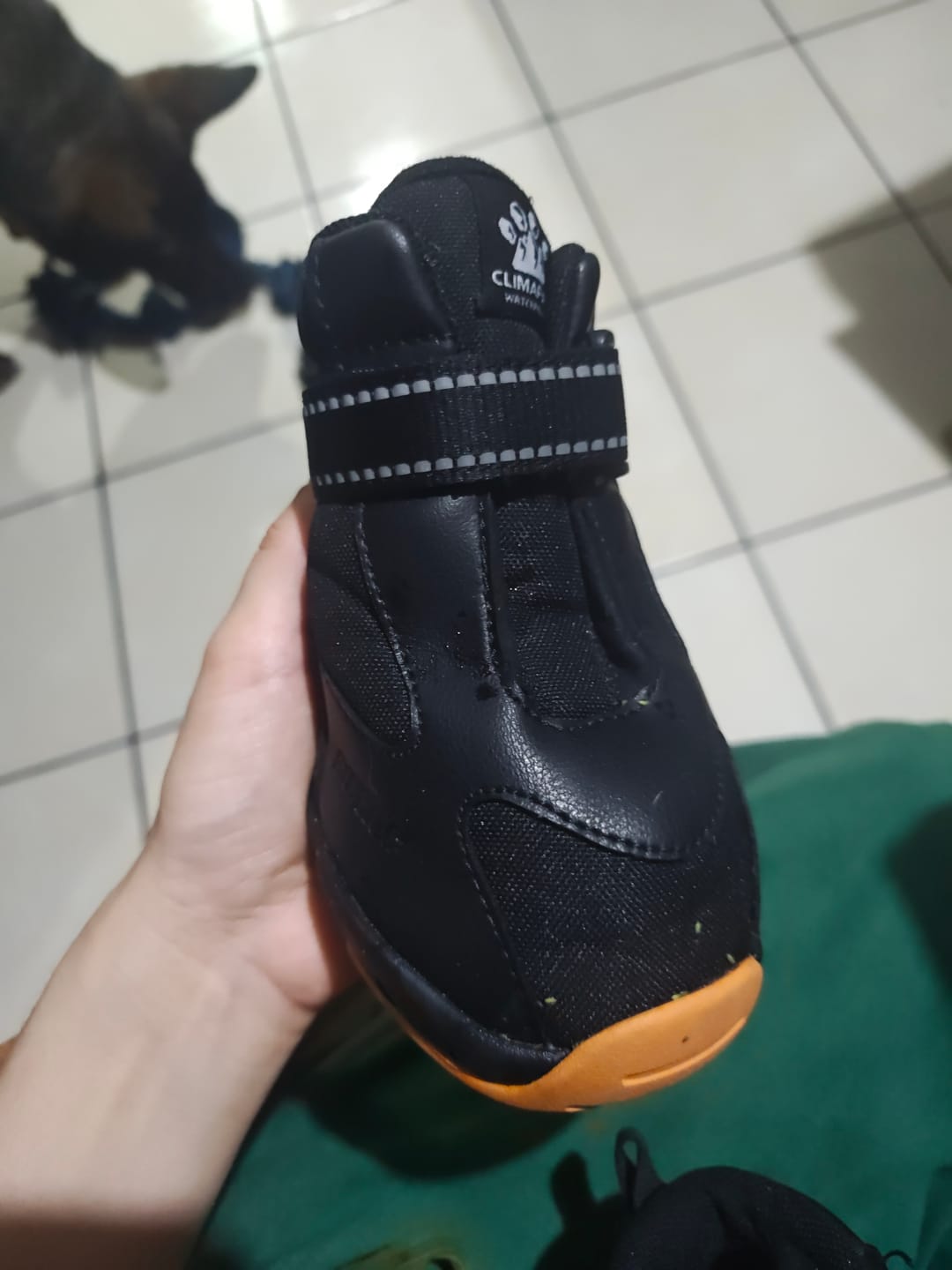 Customer photo review of Apollo 1