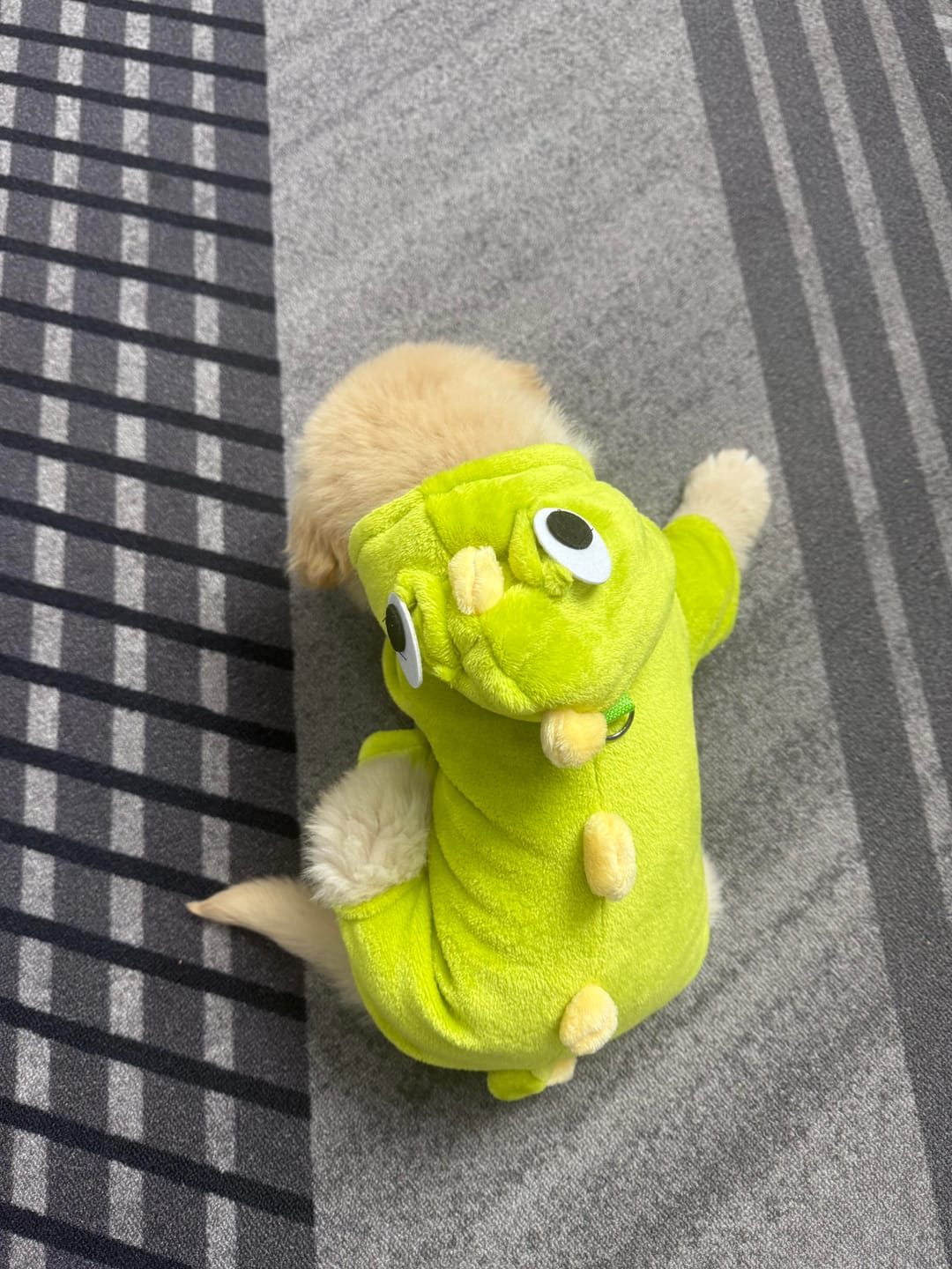 Customer photo review of Dinosaur Bodysuit costume