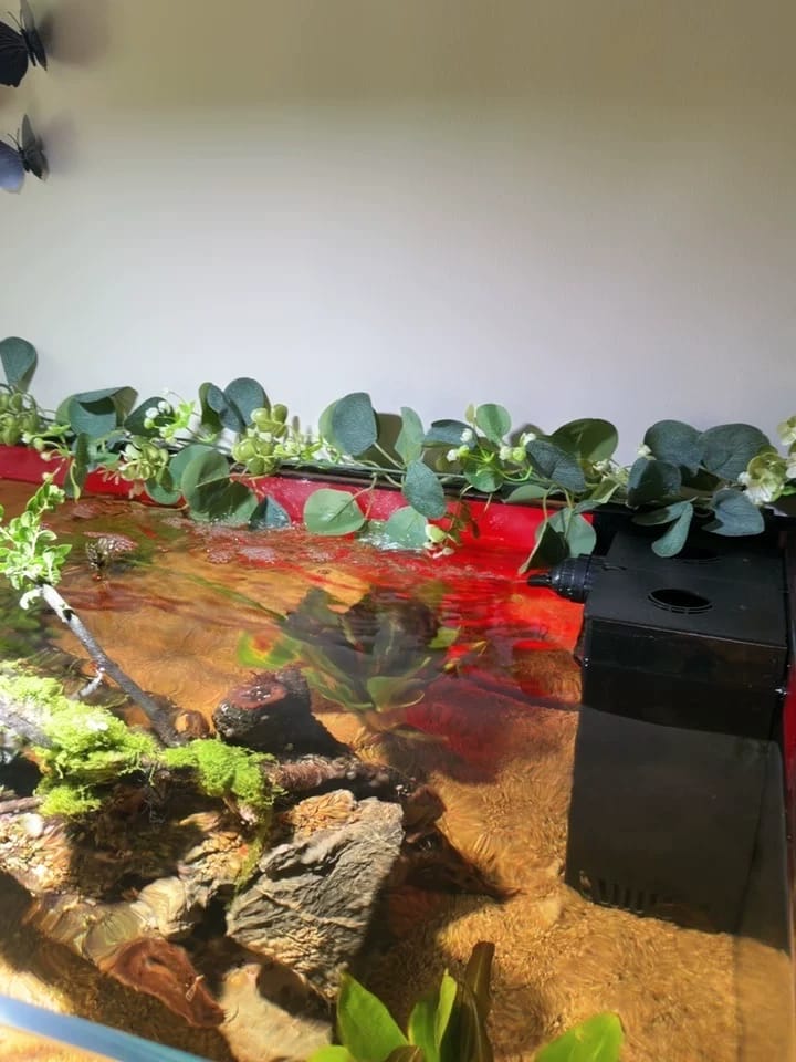 Customer photo review of 🔥Last Day 60% OFF🔥Artificial Rose Garland Flower Vine