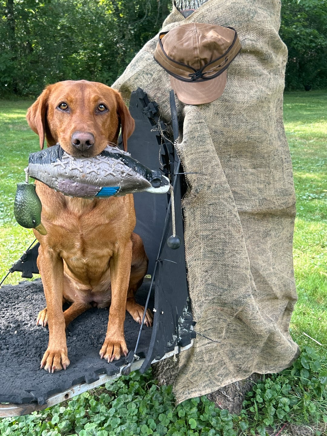 Customer photo review of Stormy Kromer x DECOY Collab Hat