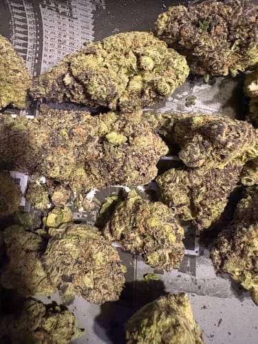 Indoor Exotics - Hashburger - 14 Grams - Indica photo review