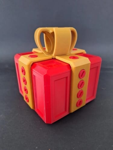 Customer photo review of Surprise Gift Box