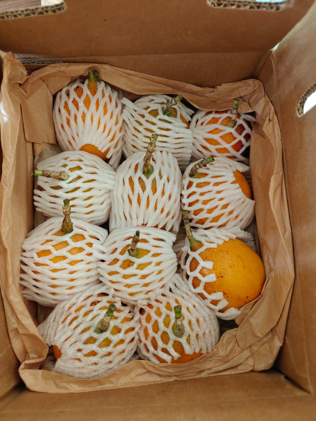 Customer photo review of Granadilla