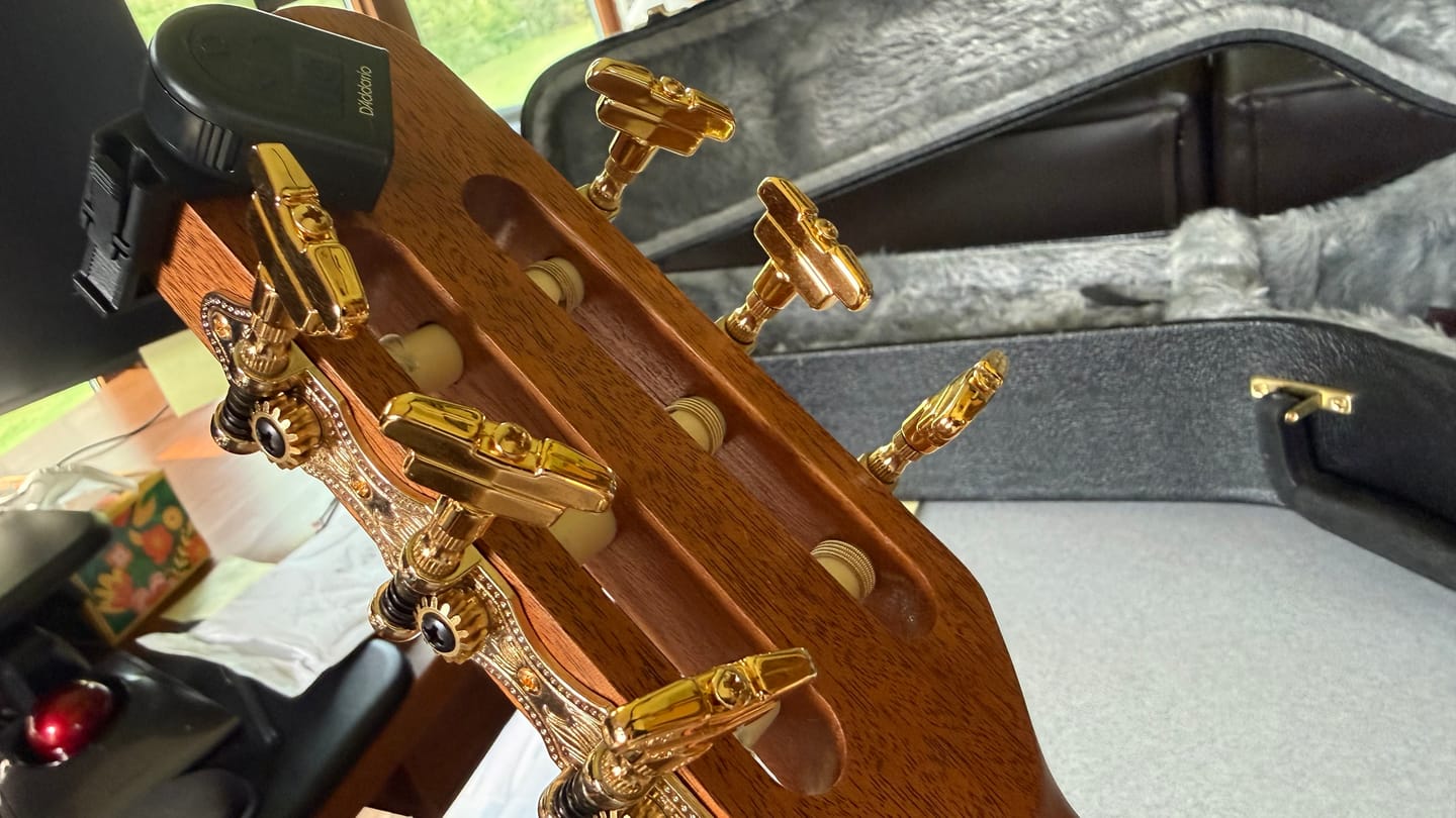 Customer photo review of Guitar Tuner Buttons (Sold Individually)