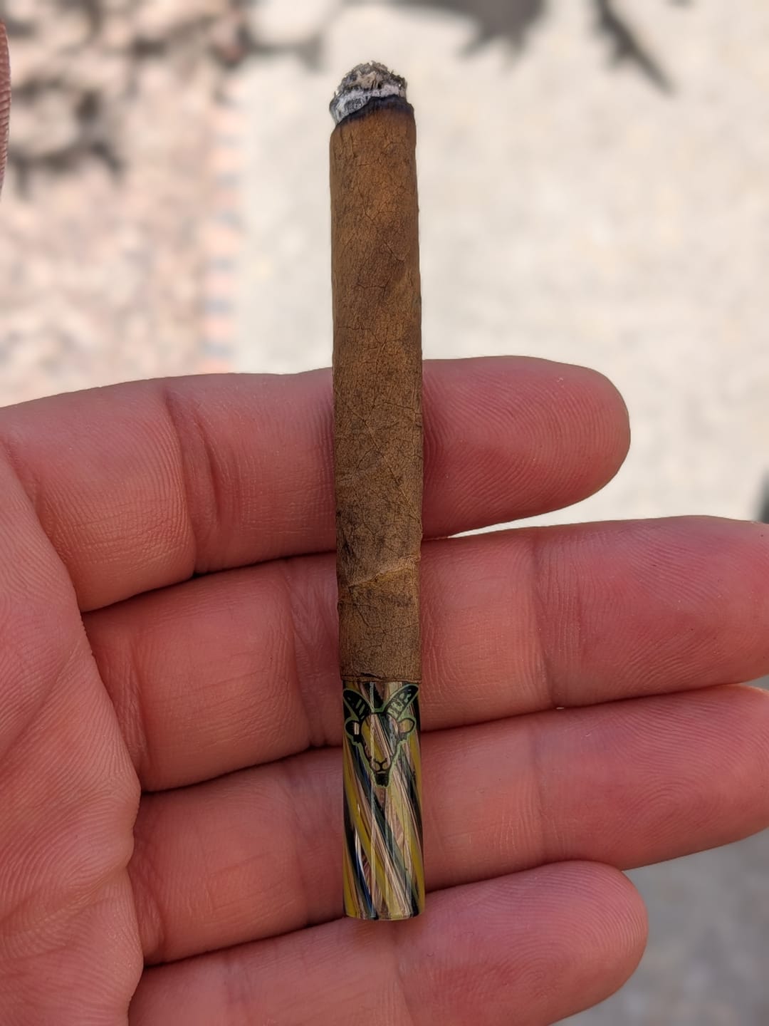 Customer photo review of Poison Dart Frog