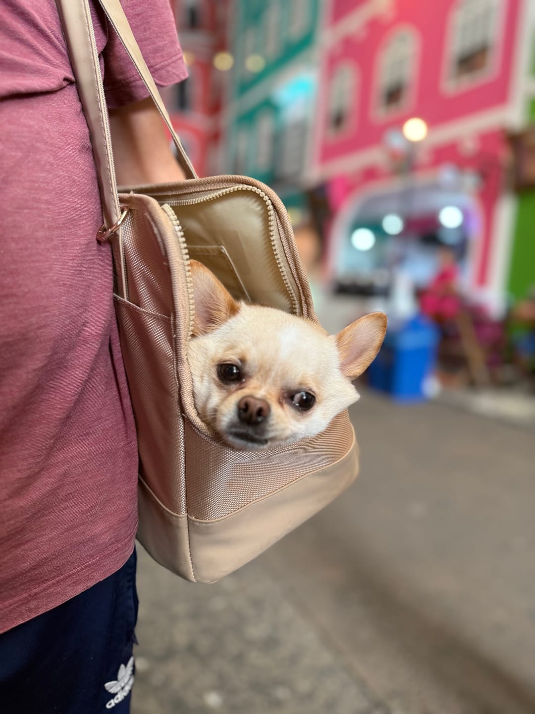 Customer photo review of Olive Green Pet Tote Bag