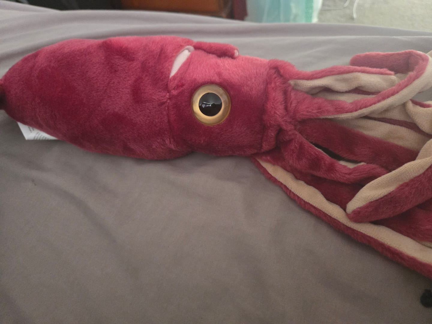 Customer photo review of Giant Squid Soft Stuffed Plush Toy