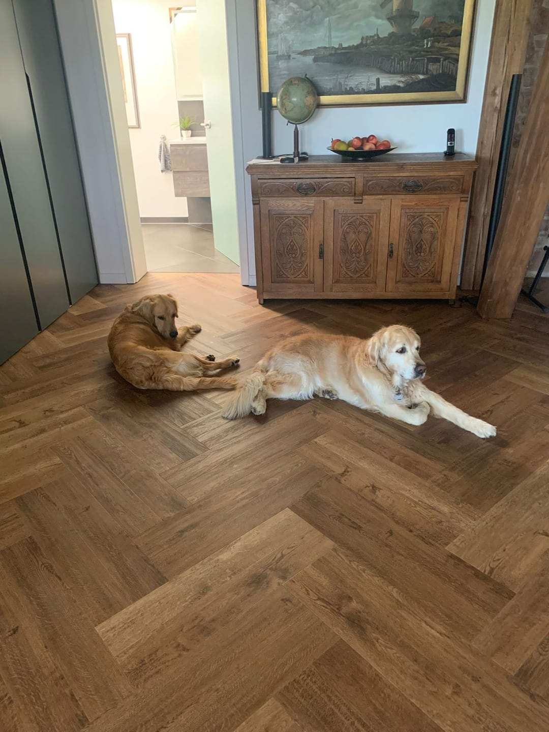 Customer photo review of Abwehr Kräuter für Hunde "SOLE LUNA"