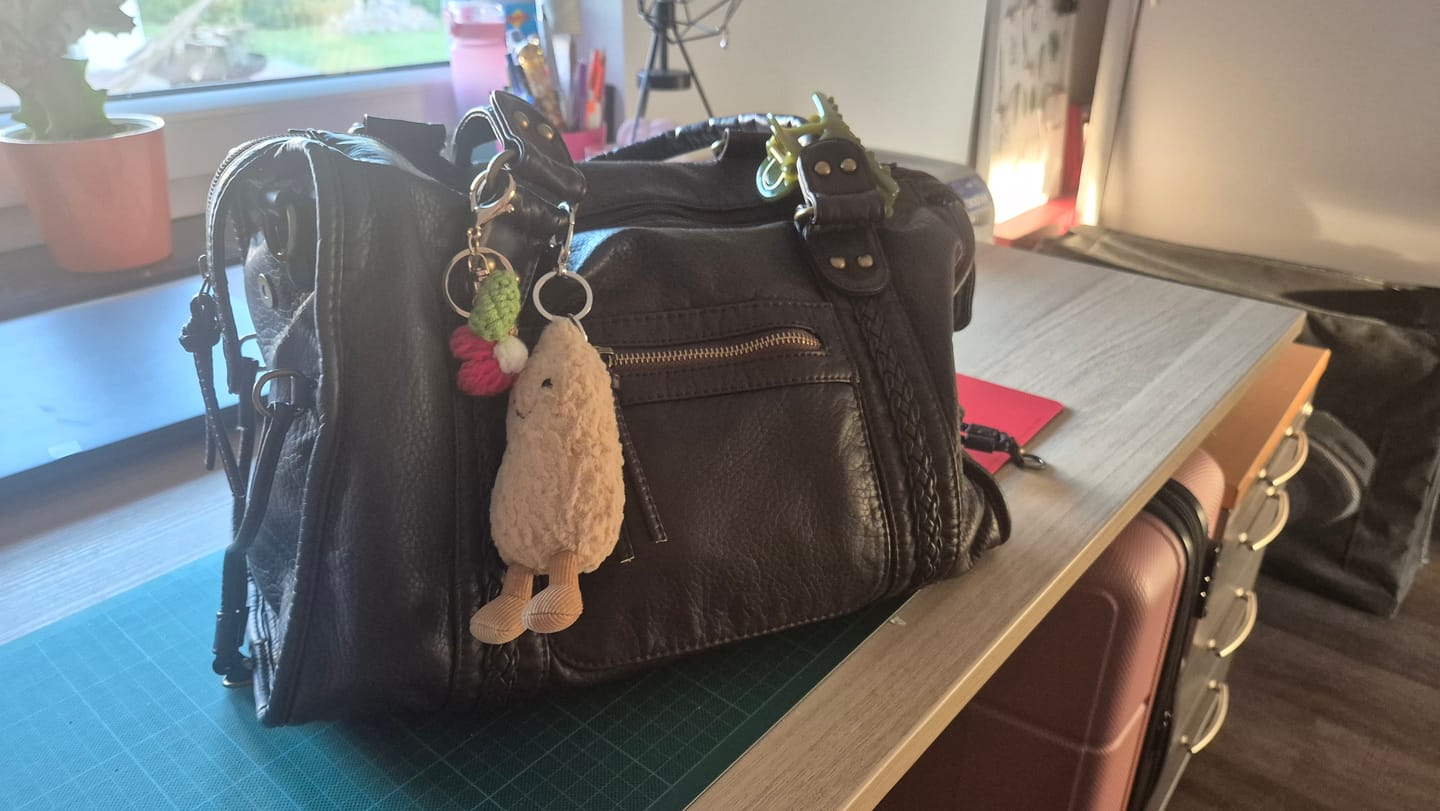Customer photo review of CLAIRE' CITY BAG