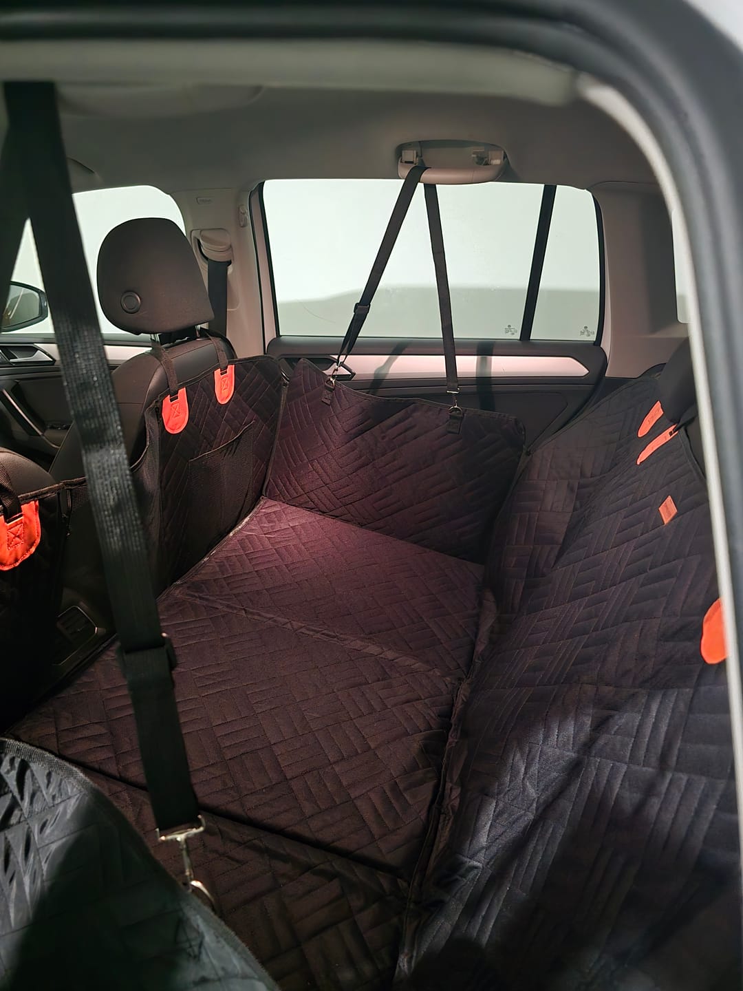 Customer photo review of Companion&Co™ Hard Bottom Car Seat Cover
