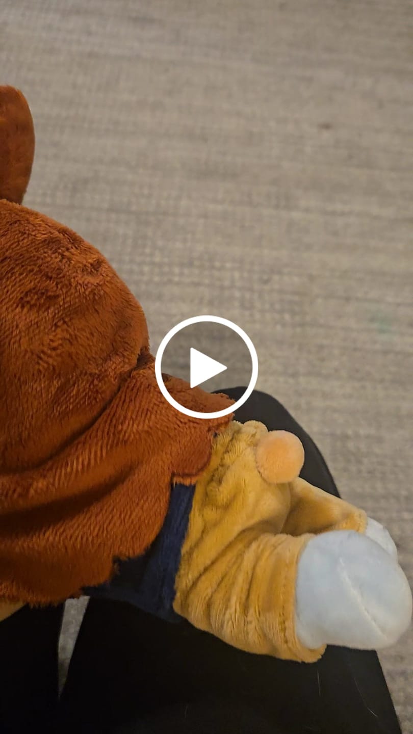 Customer video review of Alien Stage Rabbit Series Plush Doll