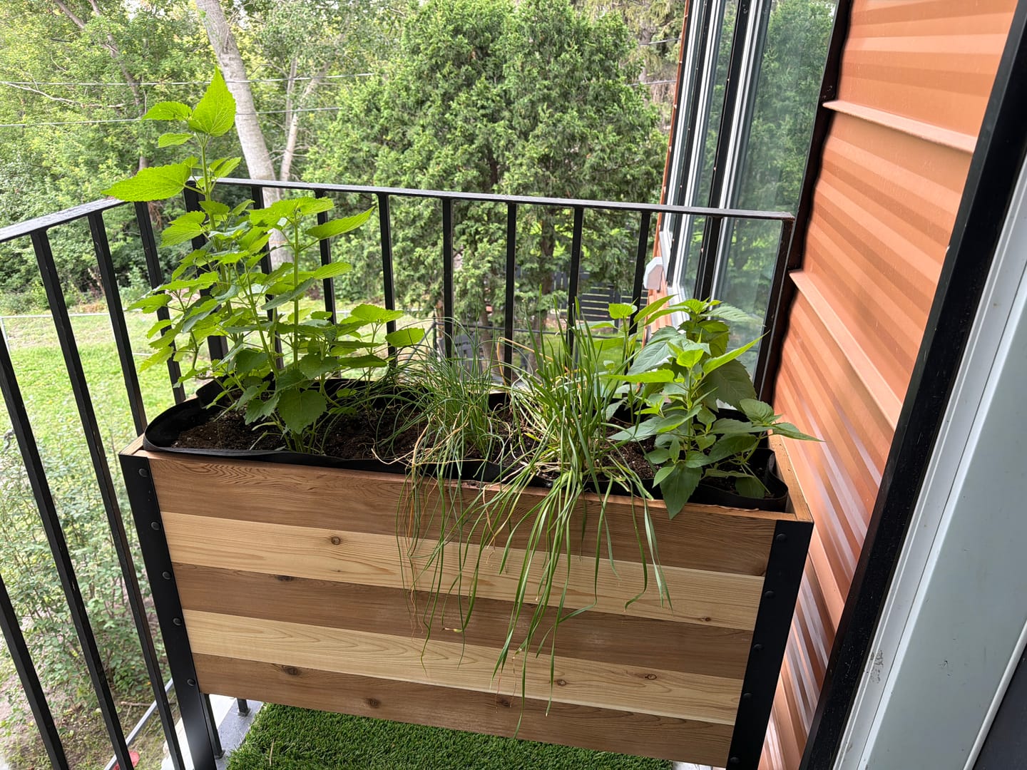 Customer photo review of 11.5" x 36" Raised Garden Bed - 30" TALL / Select Grade