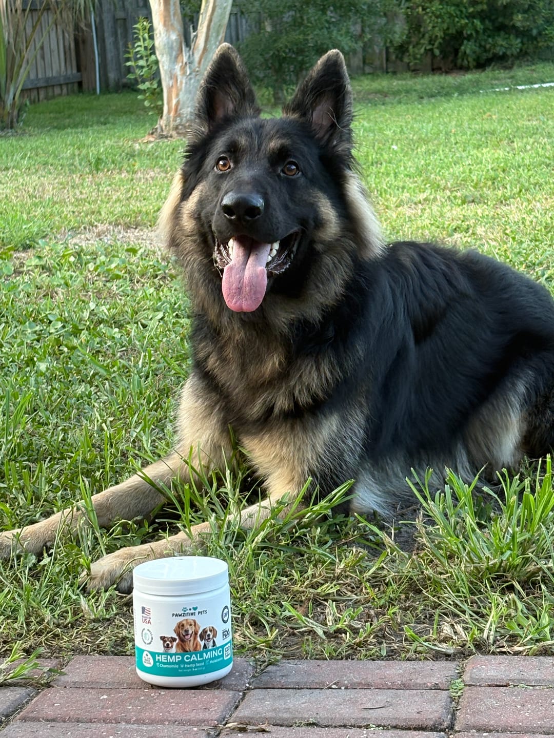 Customer photo review of Hemp Calming Chews for Dogs – 120 Soft Chews