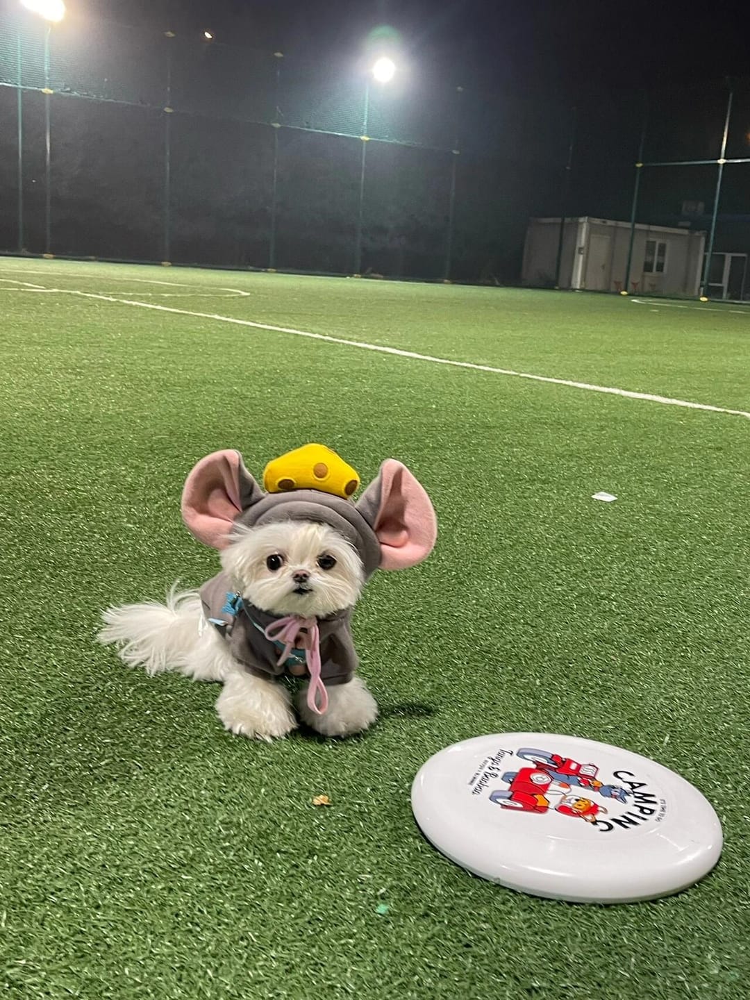 Customer photo review of Pet Sweatshirt Warm Fleece Cosplay Hoodies