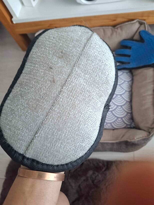 Customer photo review of Kedi Köpek Tüy Toplama Eldiveni | Nazik Evcil Hayvan Bakım ve Masaj Eldiveni