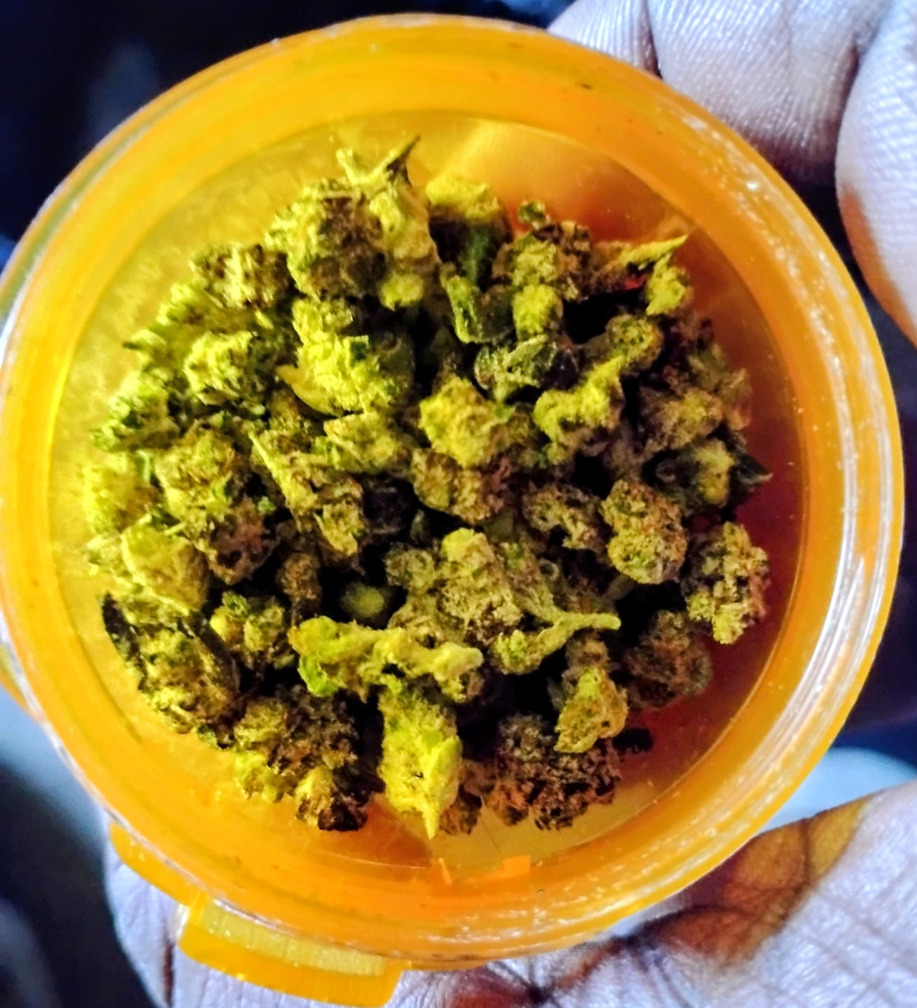 Customer photo review of Galactic Runtz Indoor MICROS - 14 Grams - Indica