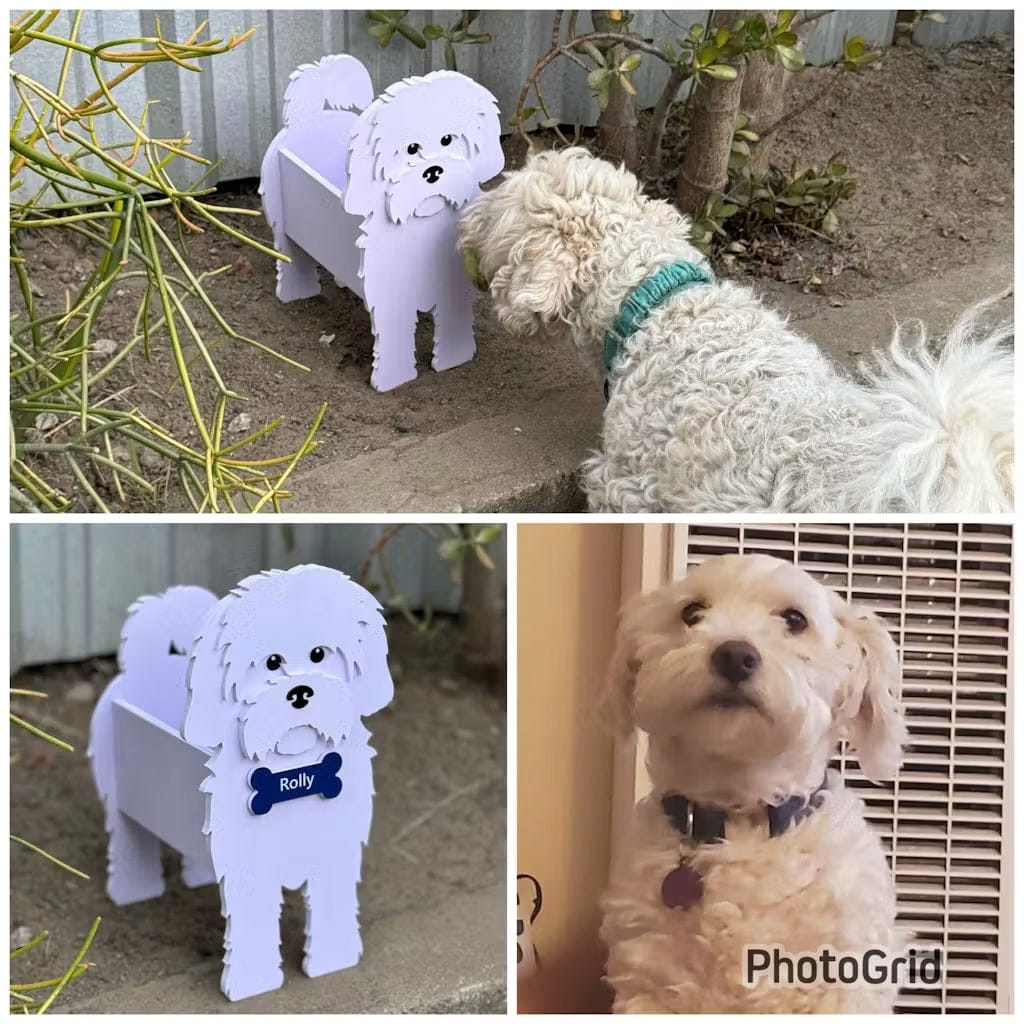 Customer photo review of Dog Planter - Maltese