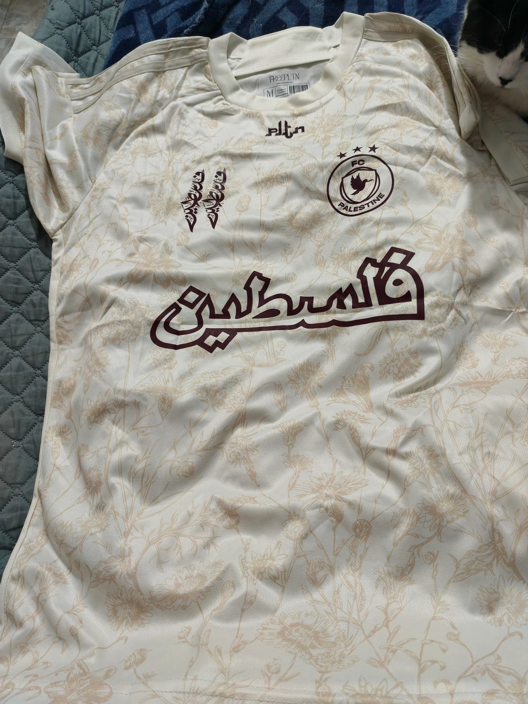Customer photo review of Palestine Beige velvet