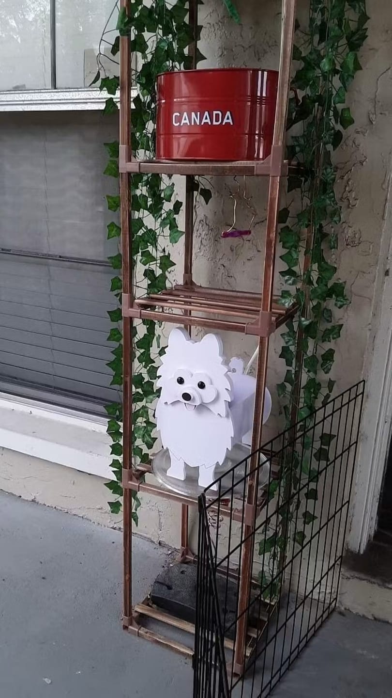 Customer photo review of Dog Planter - Pomeranian
