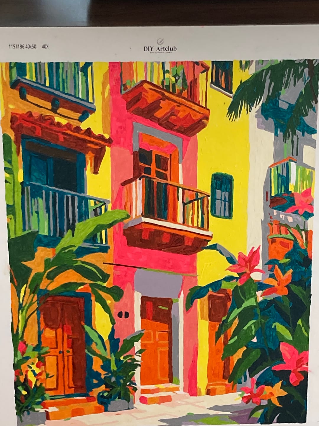 Customer photo review of Tropical Facades | Paint by Number