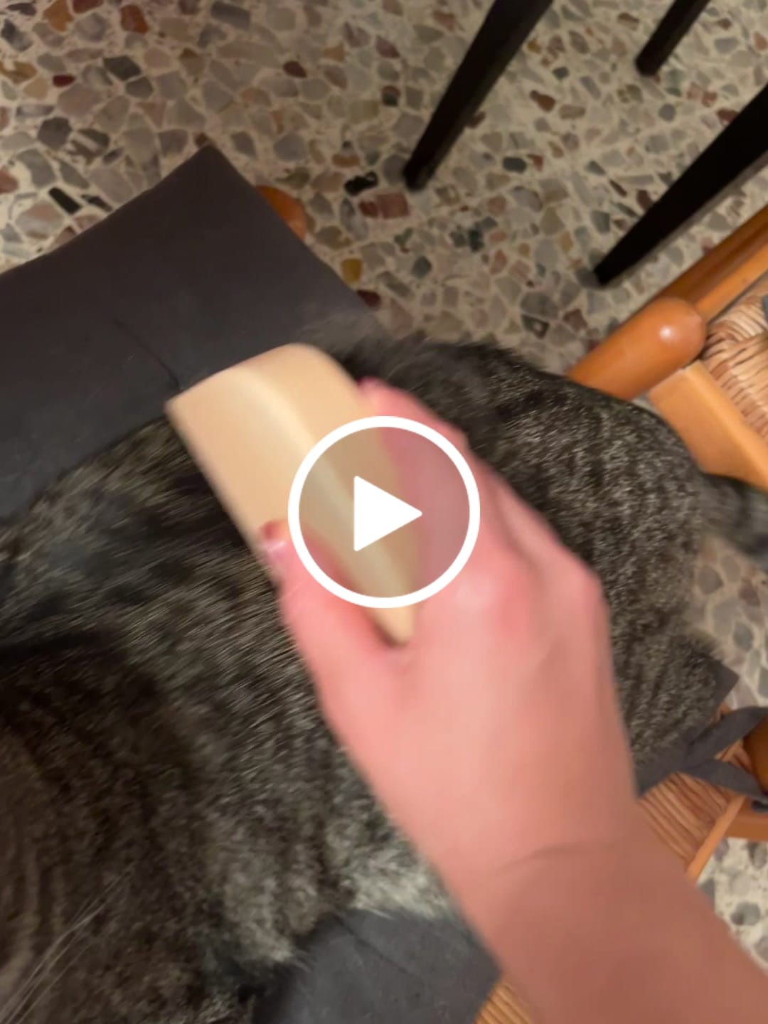 Customer video review of Slanatore Gattinathor® per cani e gatti a pelo corto