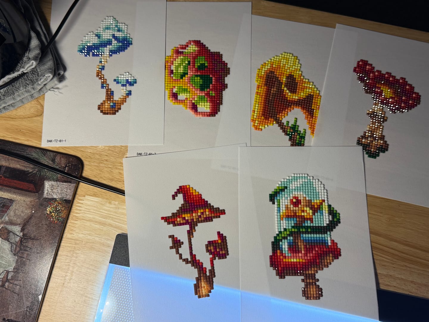 Customer photo review of Magic Mushroom Set