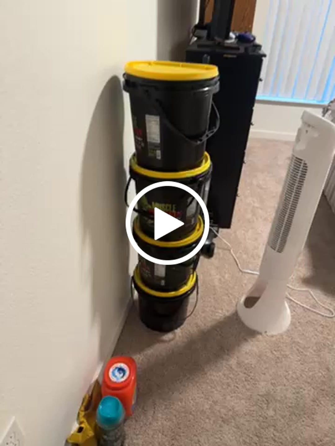 Customer video review of Whey Protein Powder Bucket