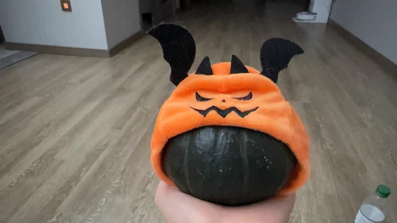 Customer photo review of Halloween Costumes - 1Pcs Adjustable Orange Pumpkin Hat Pet