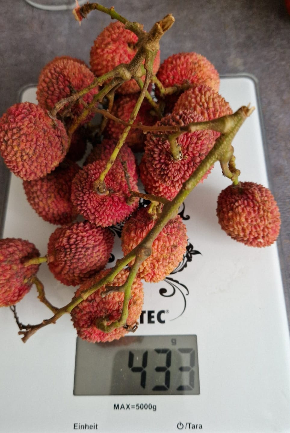 Customer photo review of Litschi (Lychee) Bio von Julian
