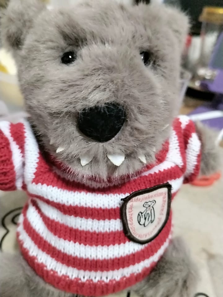 Customer photo review of Willy Wolf