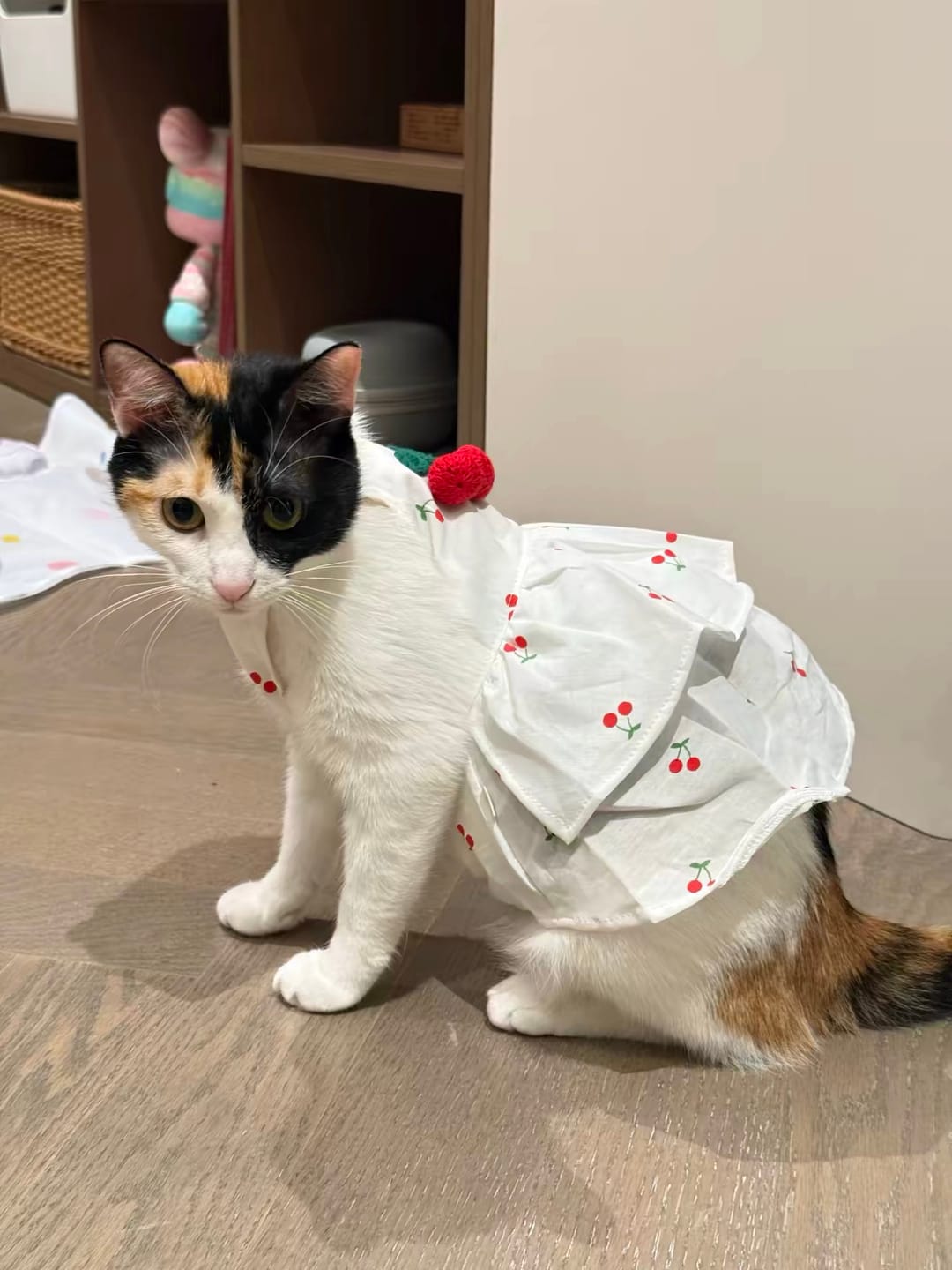 Customer photo review of Cherry Printed Dog Cat Dress With Hat