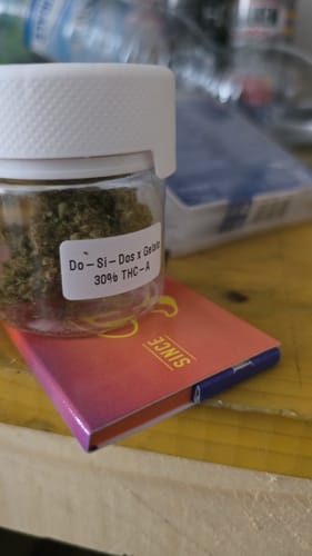 Customer's Do-Si-Dos x Gelato flower in a small, clear glass jar with a white label on a wooden table.