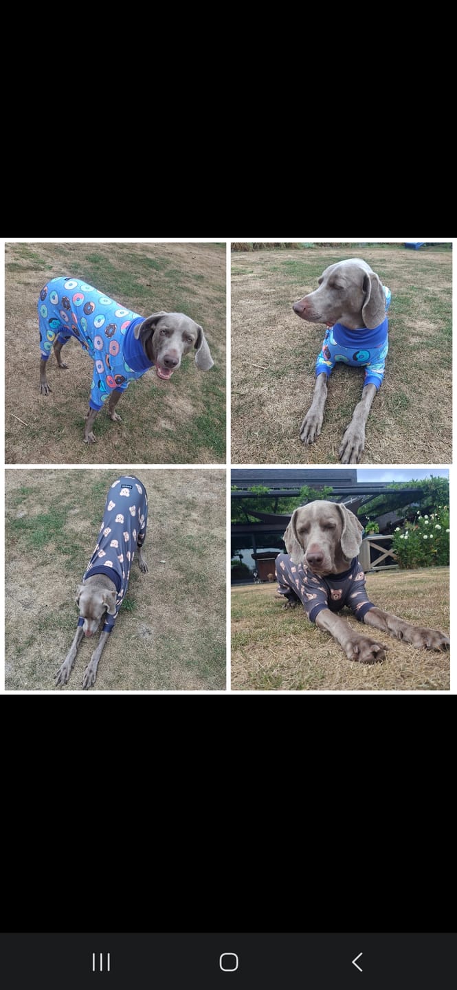 Customer photo review of Dog Pajama - Donuts