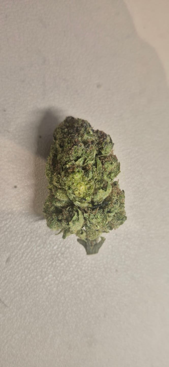 Customer photo review of Good Day - 14 Grams - Ice Cream Cake - Indica