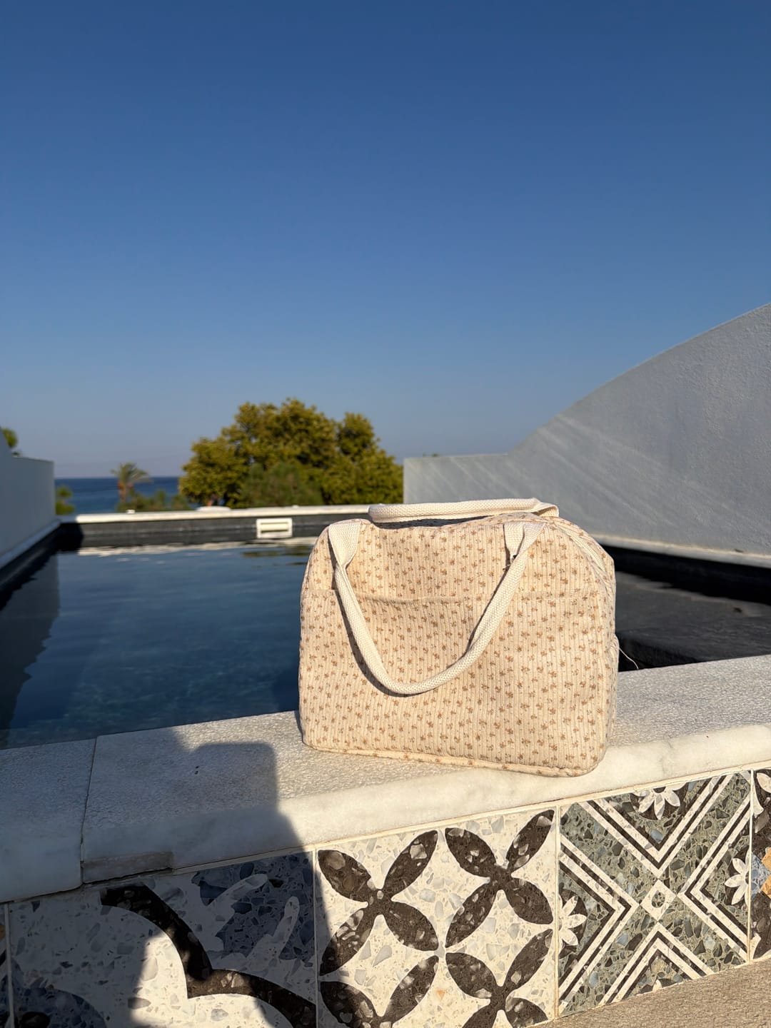 Customer photo review of Ava Lunch Bag