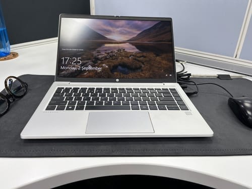 Customer photo review of SUEDE DESK RUG