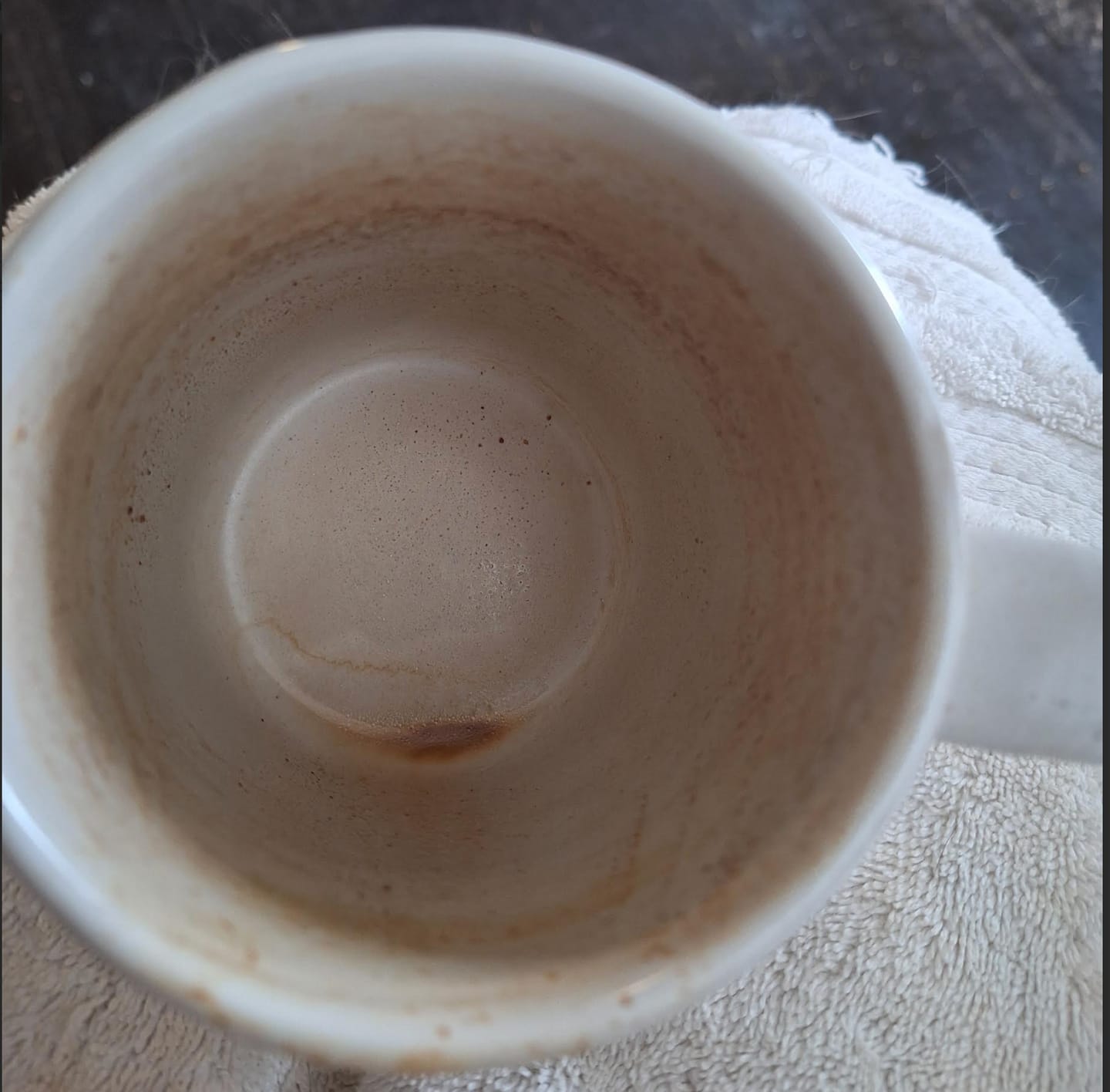 Customer photo review of Organic High Flavanol Cocoa Powder | Purple Cacao Powder | 25% Fat