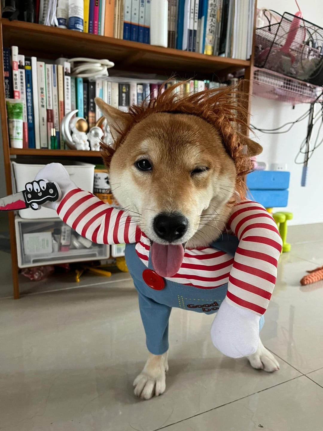 Customer photo review of Overalls with Knife Holder costume