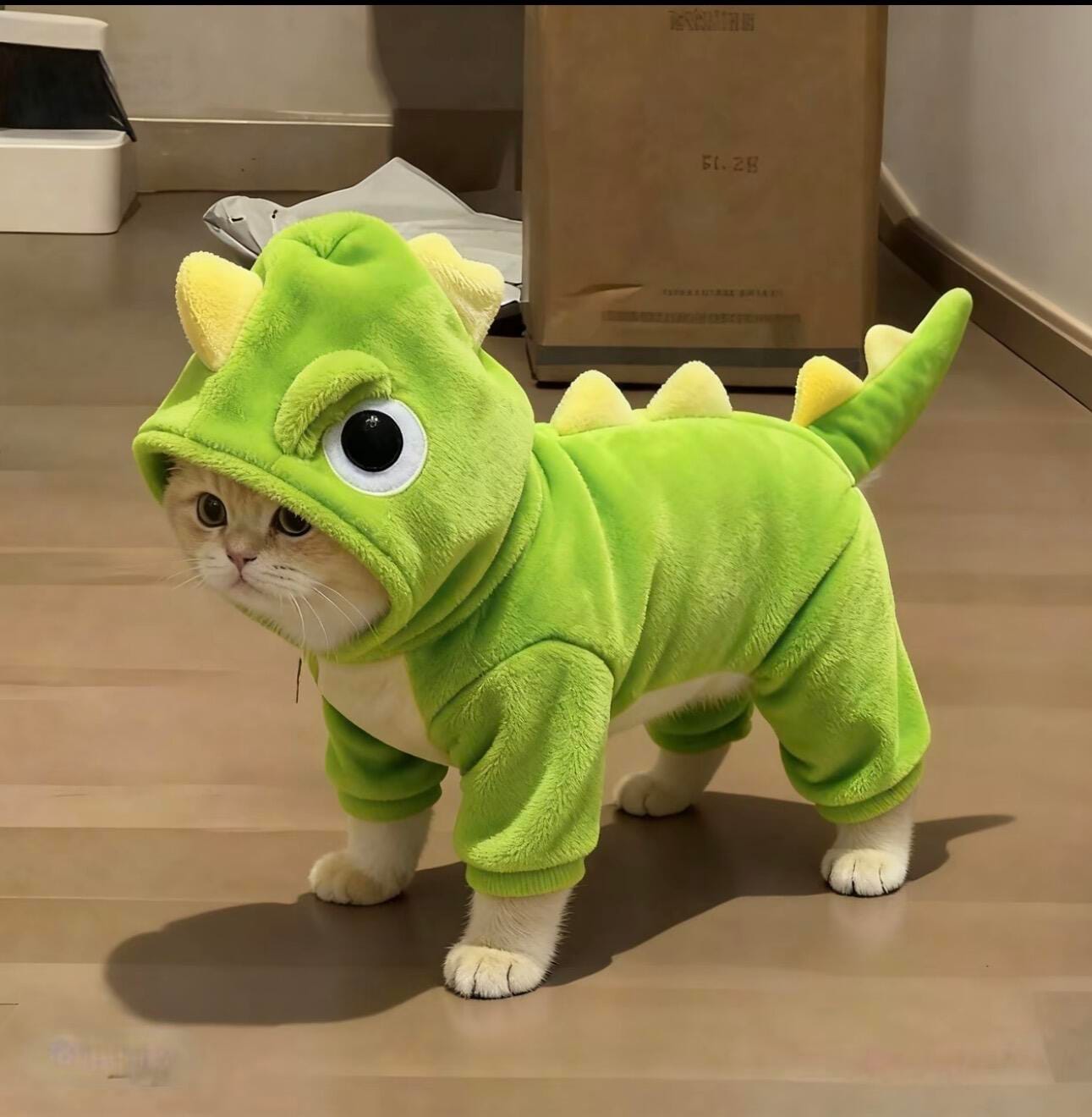 Customer photo review of Dinosaur Bodysuit costume