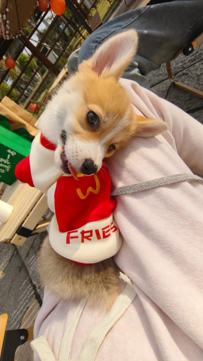 Customer photo review of Pocket French Fries Hoodie Costume