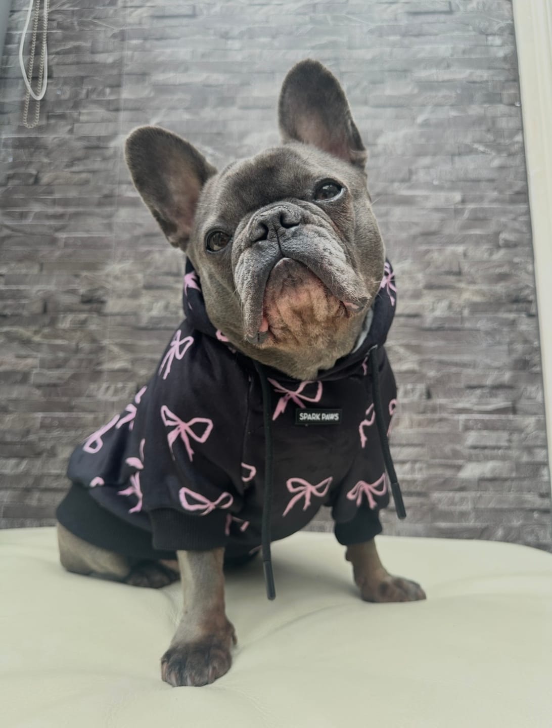 Customer photo review of Coquette Dog Hoodie