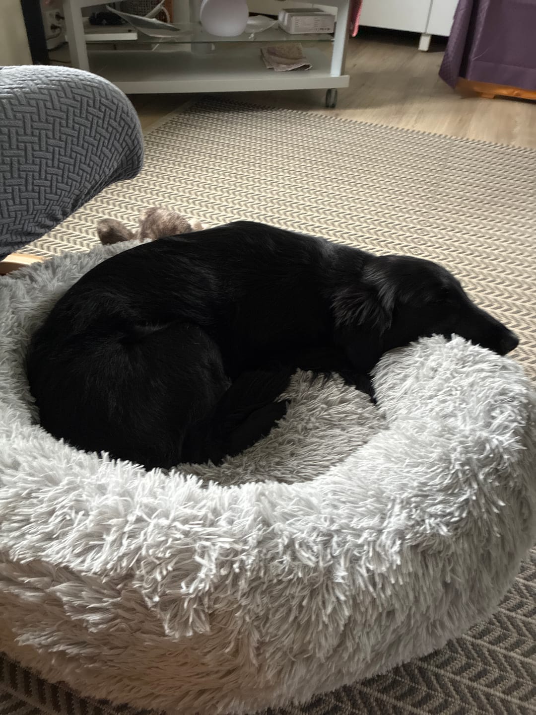 Customer photo review of CalmBed - Motvirker stress & hjelper mot angst
