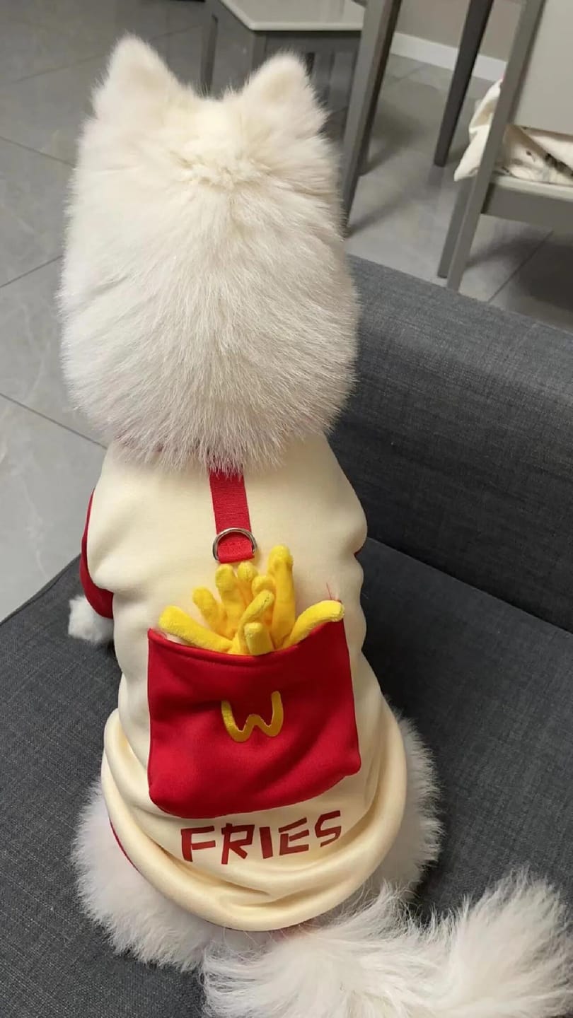 Customer photo review of Pocket French Fries Hoodie Costume